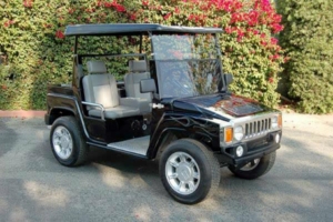 affordable golf cart rental, golf cart rent houston
